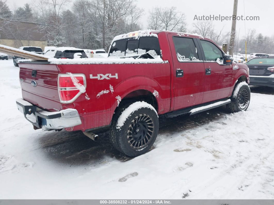 2014 Ford F-150 Xlt Red vin: 1FTFW1EFXEFC16986