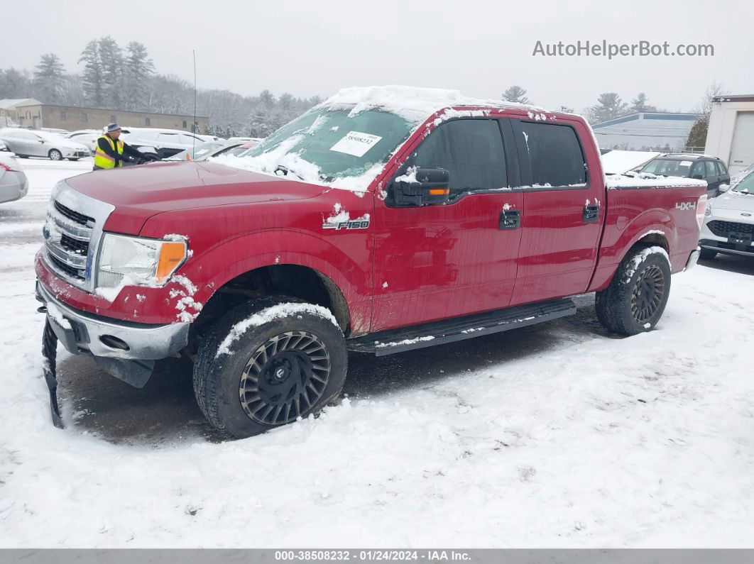 2014 Ford F-150 Xlt Red vin: 1FTFW1EFXEFC16986