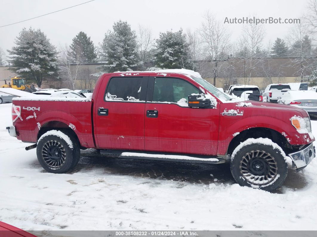 2014 Ford F-150 Xlt Red vin: 1FTFW1EFXEFC16986