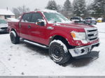 2014 Ford F-150 Xlt Red vin: 1FTFW1EFXEFC16986