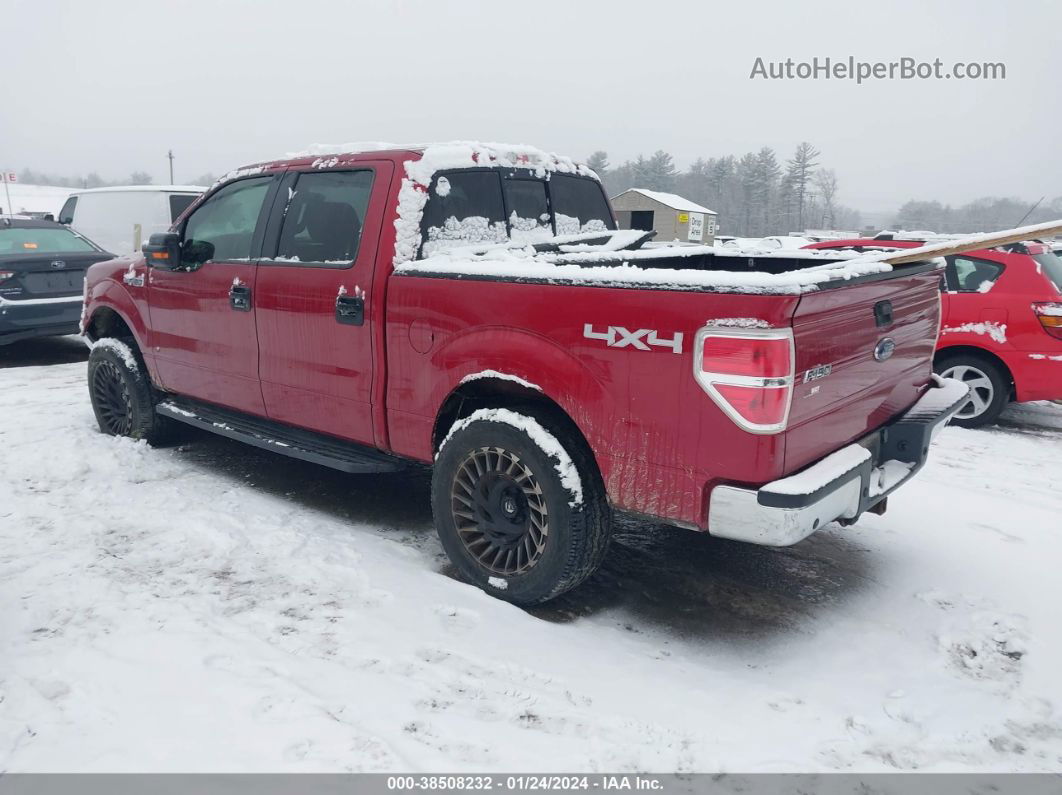 2014 Ford F-150 Xlt Red vin: 1FTFW1EFXEFC16986