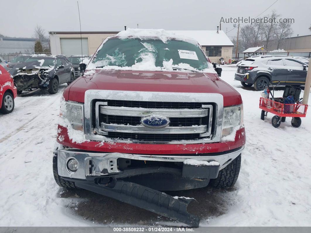 2014 Ford F-150 Xlt Red vin: 1FTFW1EFXEFC16986