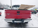 2014 Ford F-150 Xlt Red vin: 1FTFW1EFXEFC16986