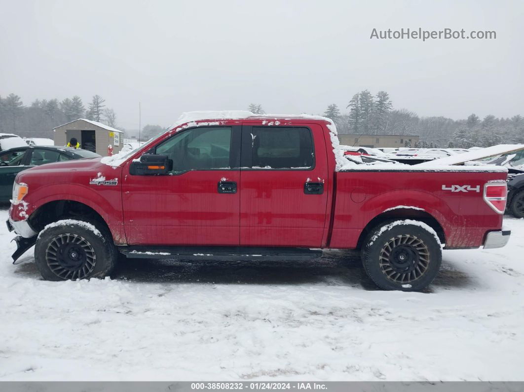 2014 Ford F-150 Xlt Красный vin: 1FTFW1EFXEFC16986