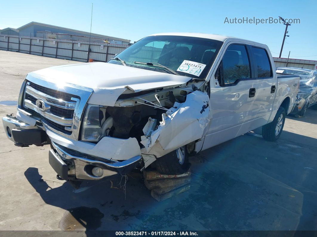 2014 Ford F-150 Xlt White vin: 1FTFW1EFXEKD65857