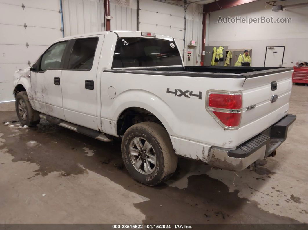 2014 Ford F-150 Xlt White vin: 1FTFW1EFXEKF93969