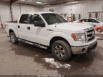 2014 Ford F-150 Xlt White vin: 1FTFW1EFXEKF93969