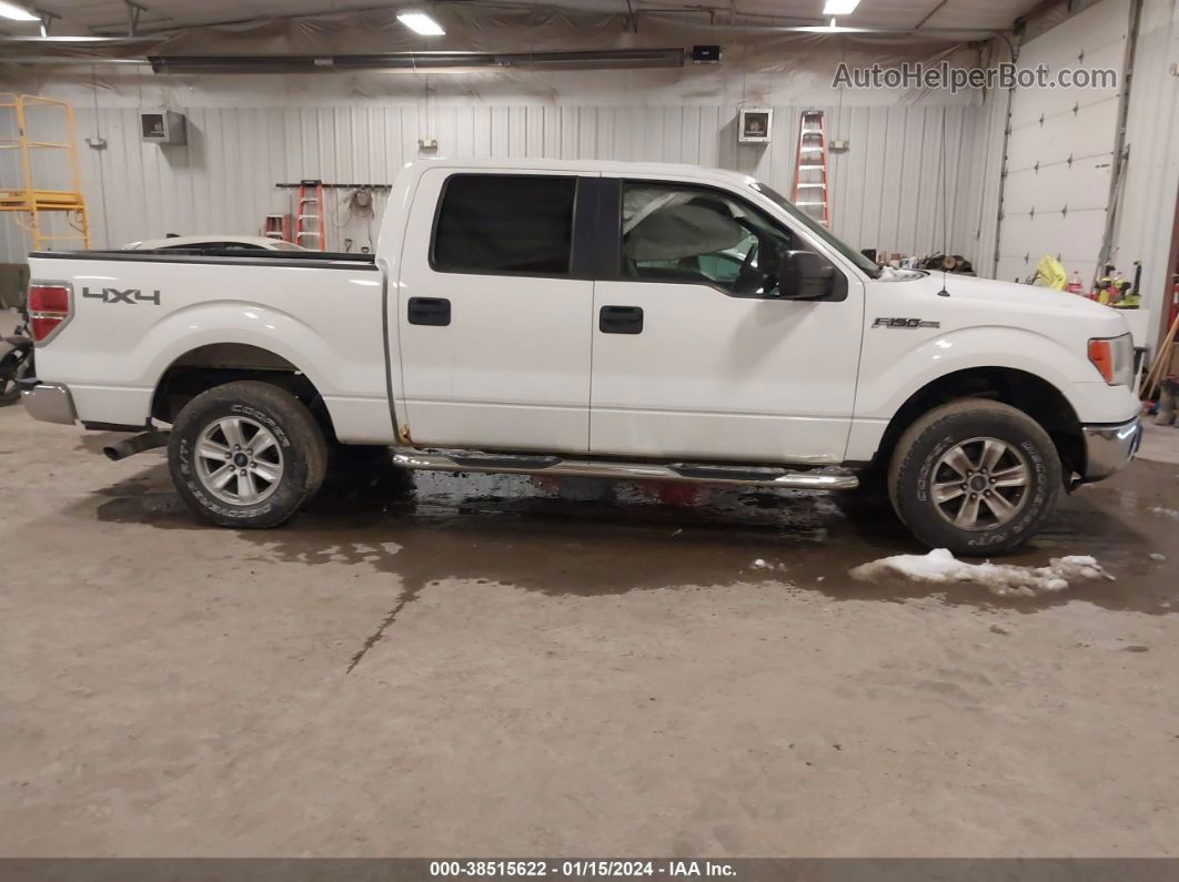 2014 Ford F-150 Xlt White vin: 1FTFW1EFXEKF93969