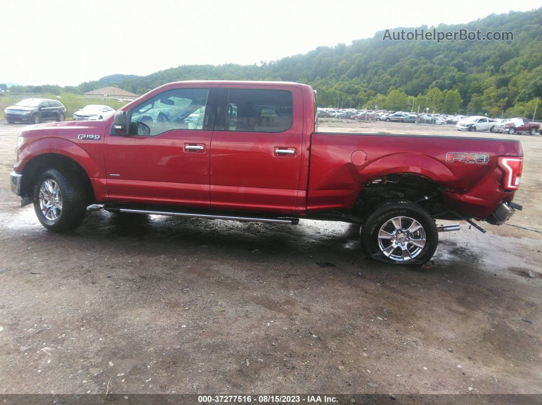 2017 Ford F-150 Xlt Red vin: 1FTFW1EG4HFC12204