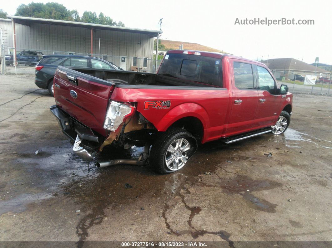 2017 Ford F-150 Xlt Red vin: 1FTFW1EG4HFC12204