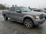 2011 Ford F150 Supercrew Gray vin: 1FTFW1ET0BFB10581