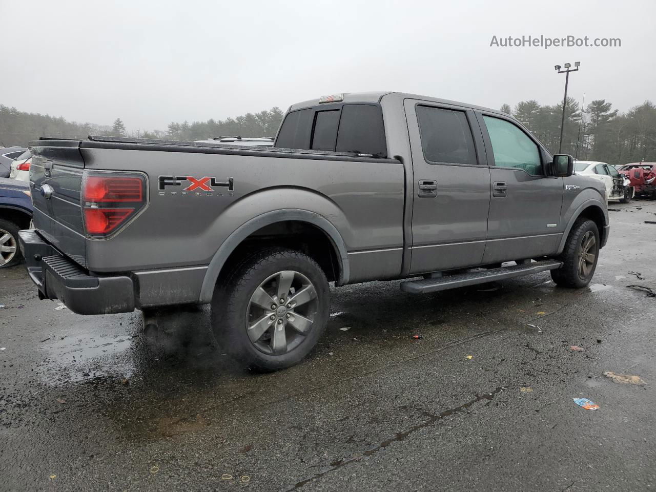 2011 Ford F150 Supercrew Gray vin: 1FTFW1ET0BFB10581