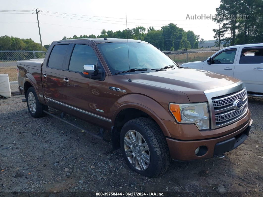 2011 Ford F-150 Platinum Brown vin: 1FTFW1ET0BFB19913