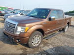 2011 Ford F-150 Platinum Brown vin: 1FTFW1ET0BFB19913