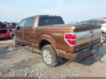 2011 Ford F-150 Platinum Brown vin: 1FTFW1ET0BFB19913