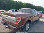 2011 Ford F-150 Platinum Brown vin: 1FTFW1ET0BFB19913