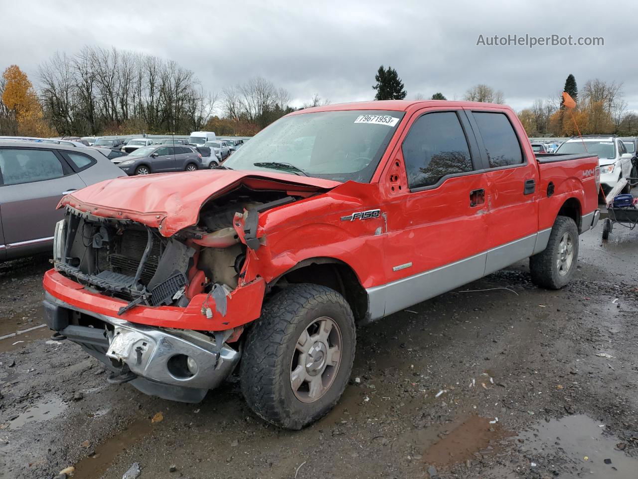 2011 Ford F150 Supercrew Red vin: 1FTFW1ET0BFB44181