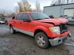 2011 Ford F150 Supercrew Red vin: 1FTFW1ET0BFB44181