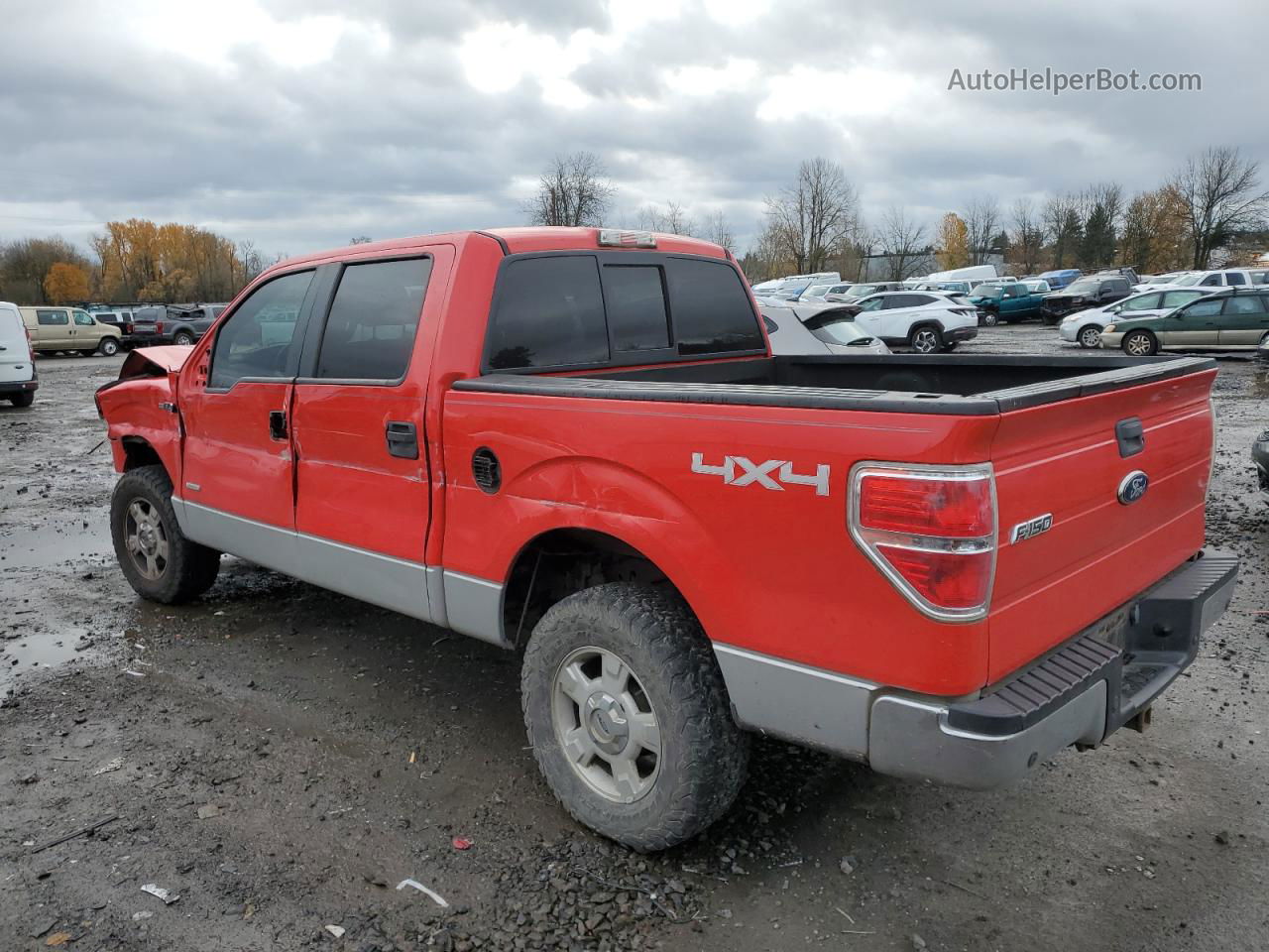 2011 Ford F150 Supercrew Red vin: 1FTFW1ET0BFB44181