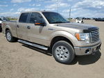 2011 Ford F150 Supercrew Gold vin: 1FTFW1ET0BFB47744