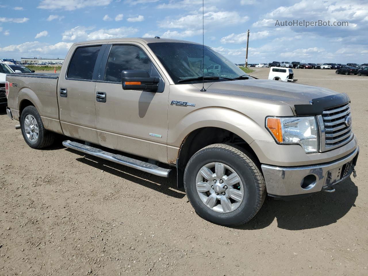 2011 Ford F150 Supercrew Золотой vin: 1FTFW1ET0BFB47744