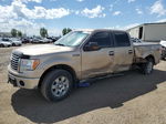 2011 Ford F150 Supercrew Gold vin: 1FTFW1ET0BFB47744