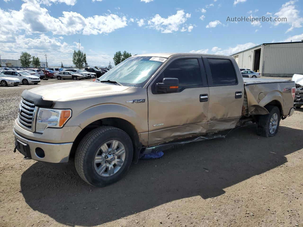 2011 Ford F150 Supercrew Золотой vin: 1FTFW1ET0BFB47744