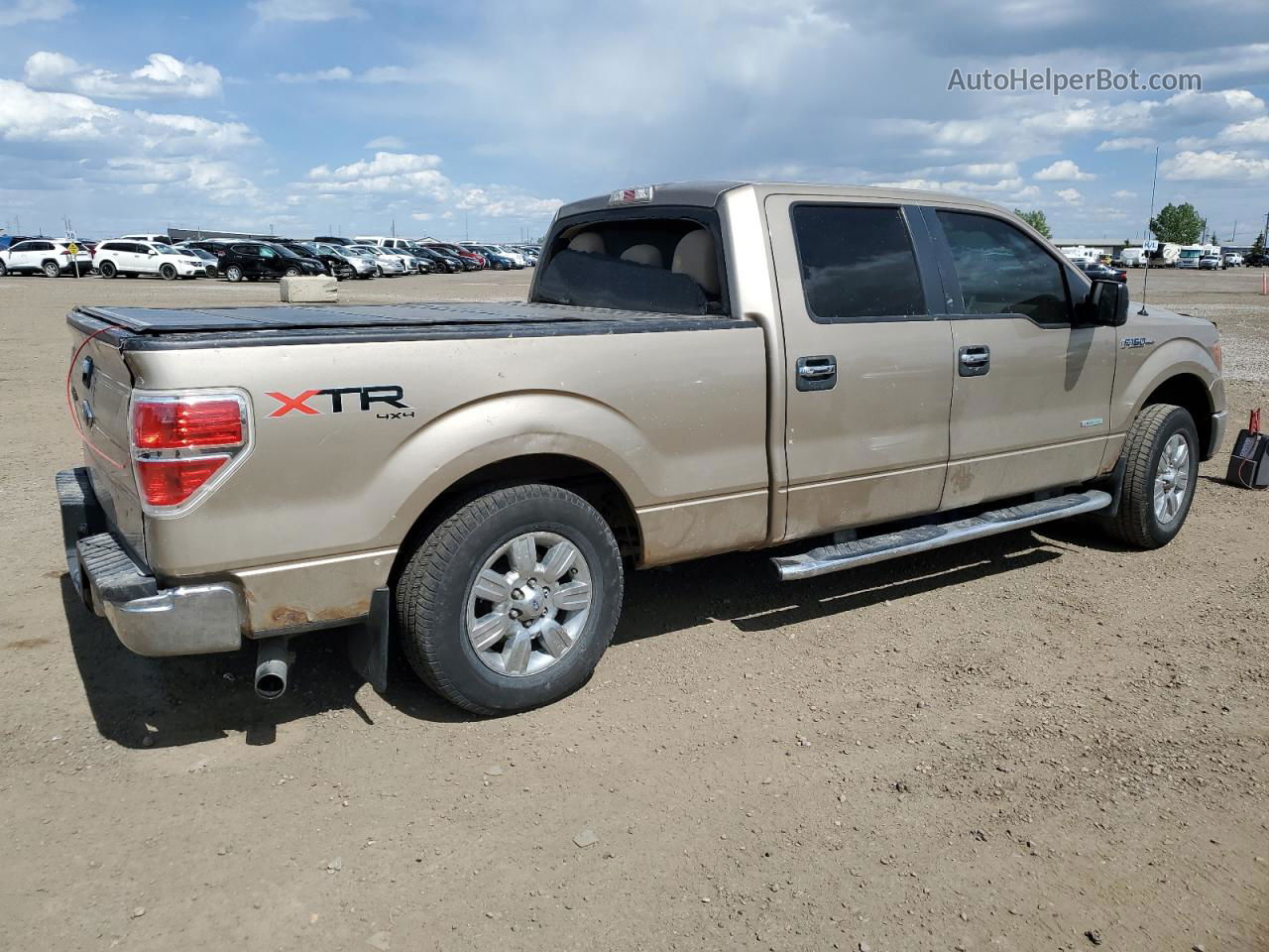 2011 Ford F150 Supercrew Золотой vin: 1FTFW1ET0BFB47744