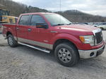 2011 Ford F150 Supercrew Red vin: 1FTFW1ET0BFB69310