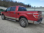 2011 Ford F150 Supercrew Red vin: 1FTFW1ET0BFB69310