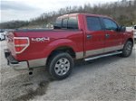 2011 Ford F150 Supercrew Red vin: 1FTFW1ET0BFB69310