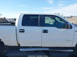 2014 Ford F-150 Xlt White vin: 1FTFW1ET0EKF25606