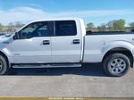 2014 Ford F-150 Xlt Белый vin: 1FTFW1ET0EKF25606