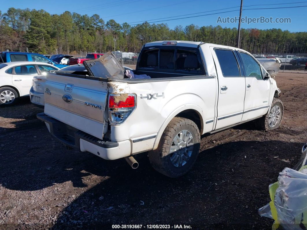 2014 Ford F-150 Platinum White vin: 1FTFW1ET1EFA23132