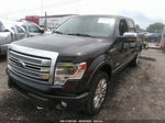 2014 Ford F-150 Xl/xlt/fx4/lariat Black vin: 1FTFW1ET1EFB27863