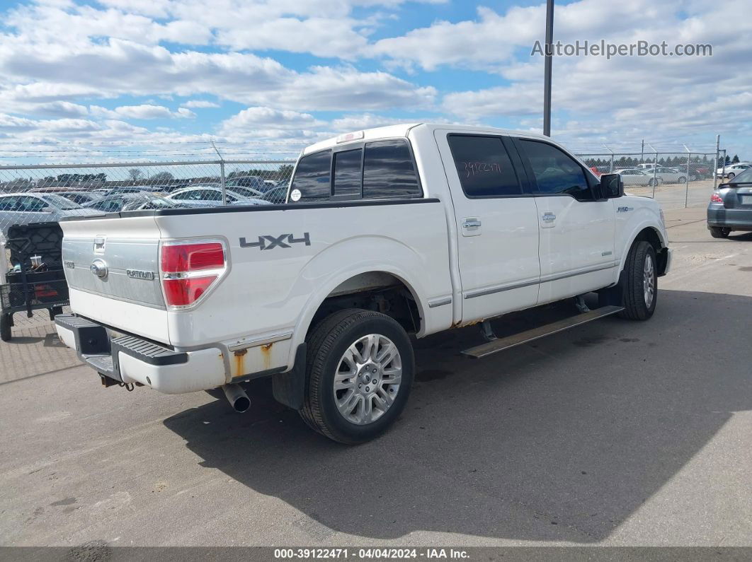 2014 Ford F-150 Platinum White vin: 1FTFW1ET1EFC34010