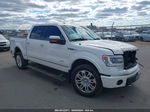 2014 Ford F-150 Platinum White vin: 1FTFW1ET1EFC34010