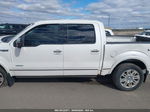 2014 Ford F-150 Platinum White vin: 1FTFW1ET1EFC34010