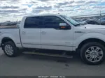 2014 Ford F-150 Platinum White vin: 1FTFW1ET1EFC34010