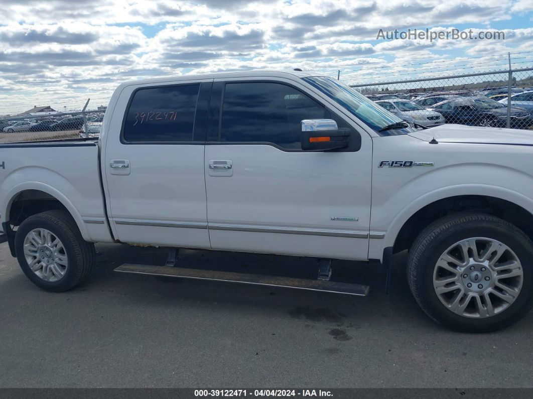 2014 Ford F-150 Platinum White vin: 1FTFW1ET1EFC34010