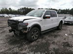 2014 Ford F-150 Xl/xlt/fx4/lariat White vin: 1FTFW1ET1EFC53785