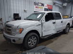 2014 Ford F-150 Xlt White vin: 1FTFW1ET1EFC95034