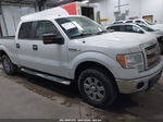 2014 Ford F-150 Xlt White vin: 1FTFW1ET1EFC95034