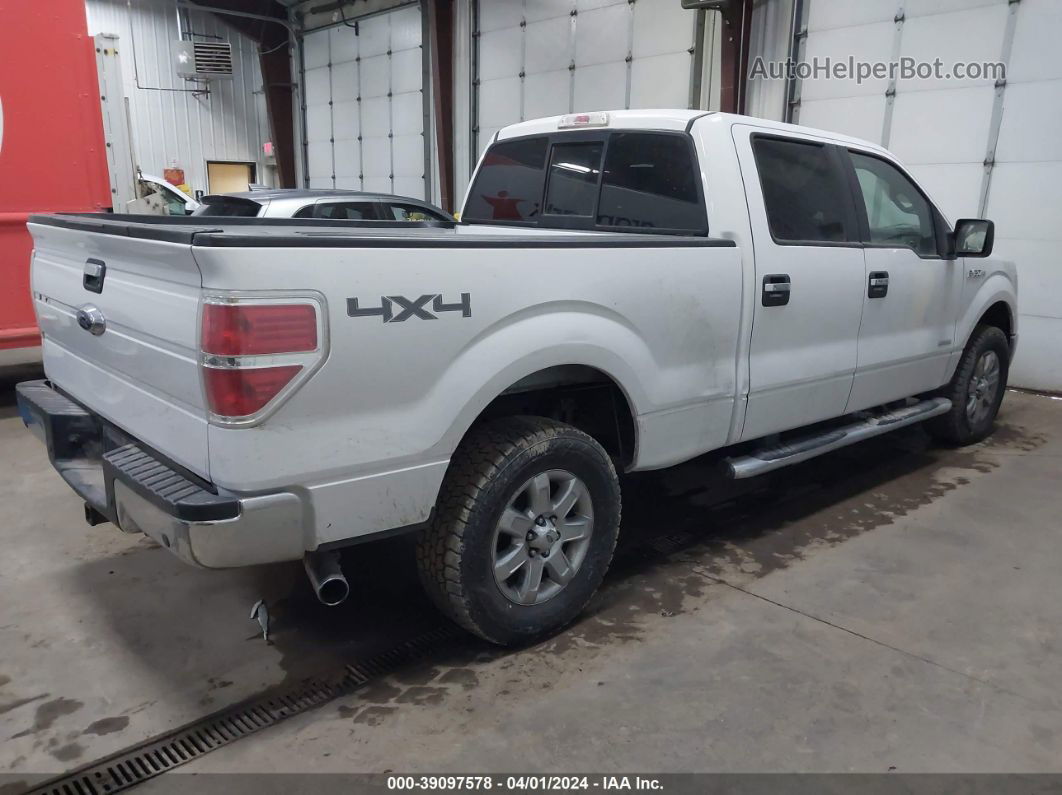 2014 Ford F-150 Xlt White vin: 1FTFW1ET1EFC95034