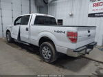 2014 Ford F-150 Xlt White vin: 1FTFW1ET1EFC95034