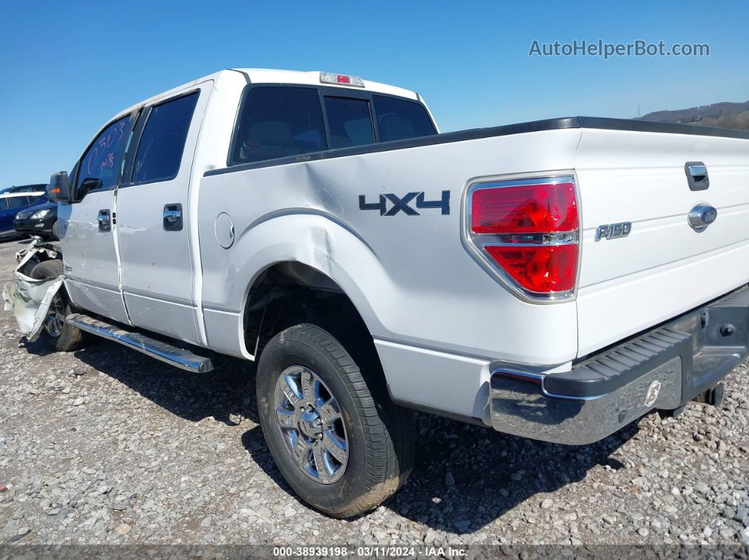 2014 Ford F-150 Xlt White vin: 1FTFW1ET1EKE50303