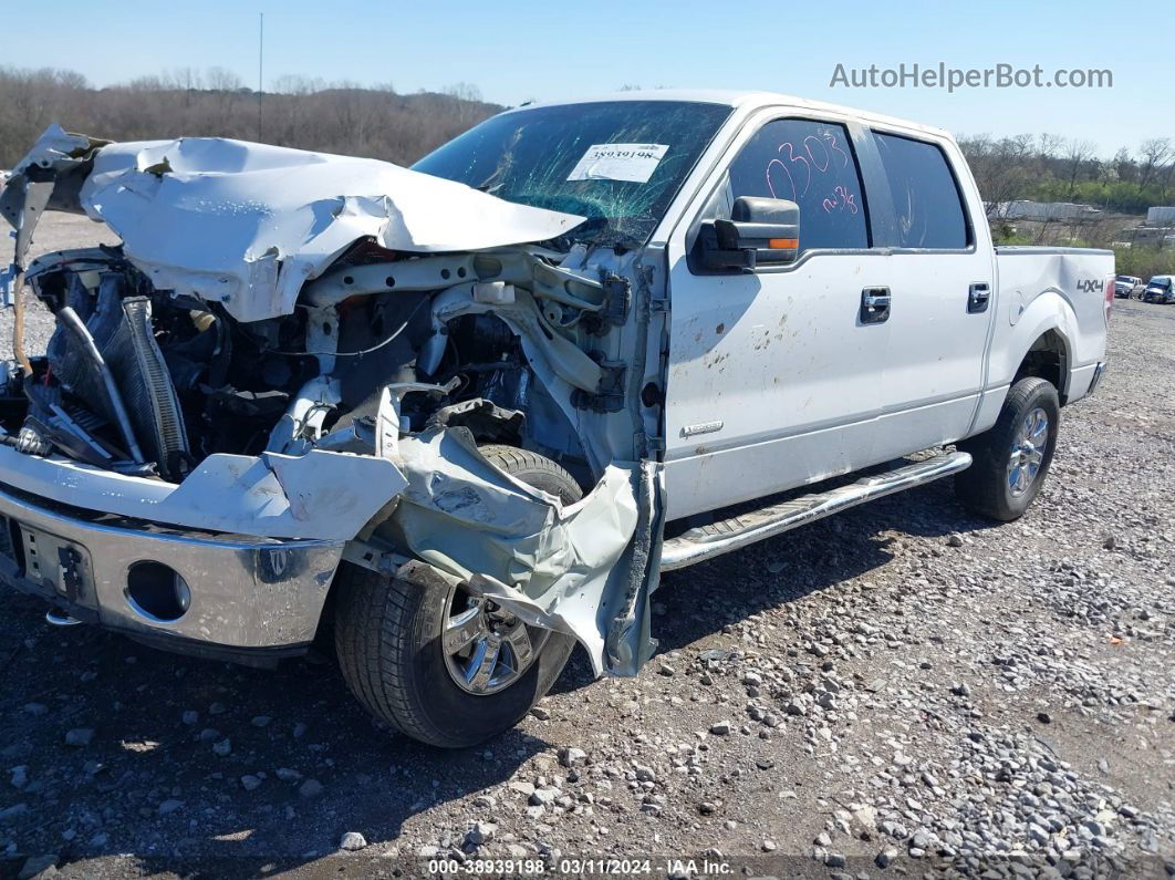 2014 Ford F-150 Xlt White vin: 1FTFW1ET1EKE50303