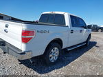 2014 Ford F-150 Xlt White vin: 1FTFW1ET1EKE50303