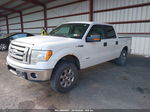 2011 Ford F-150 Xlt White vin: 1FTFW1ET2BKE12669