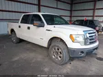 2011 Ford F-150 Xlt White vin: 1FTFW1ET2BKE12669